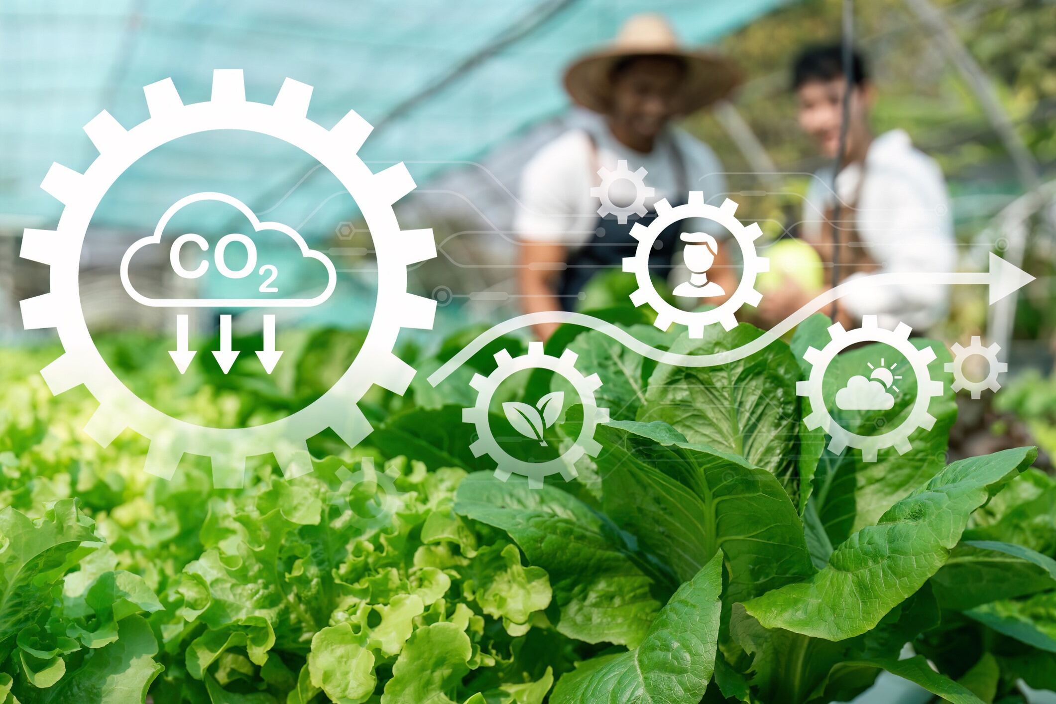 Farmers, CO2, plant growth icons in a greenhouse.